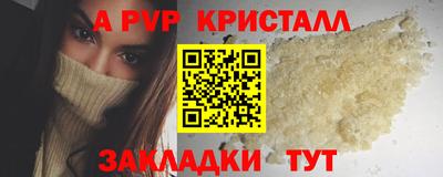 кокс Донской