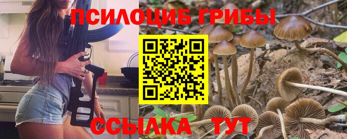 Галлюциногенные грибы GOLDEN TEACHER  магазин продажи наркотиков  Галлюциногенные грибы прущие грибы  Новошахтинск  Вход с VPN 